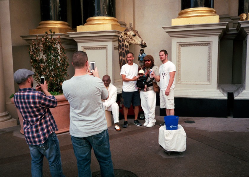http://www.samuelrosen.net/files/gimgs/th-65_15.jpg